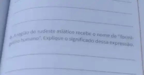 A regiáo do sudeste asiático recebe o nome de "formi-
gueiro humano"Explique o significado dessa expressão.