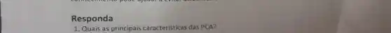 Responda
1. Quais as principais características das PCA?