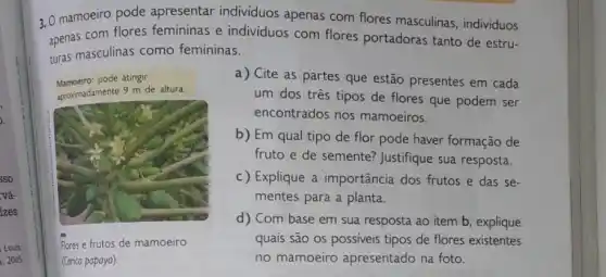 so
vá-
izes
3. 0 mamoeiro pode apresentar individuos apenas com flores masculinas, individuos
apenas com flores femininas e individuos com flores portadoras tanto de estru-
turas masculinas como femininas.
Mamoeiro: pode atingir
aproximadamente 9 m de altura.
a) Cite as partes que estão presentes em cada
um dos três tipos de flores que podem ser
encontrados nos mamoeiros.
b) Em qual tipo de flor pode haver formação de
fruto e de semente?Justifique sua resposta.
c) Explique a importância dos frutos e das se-
mentes para a planta.
Flores e frutos de mamoeiro
(Carico papaya).
d) Com base em sua resposta ao item b, explique
quais são os possiveis tipos de flores existentes
no mamoeiro apresentado na foto.