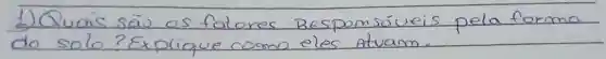 1) Quais sã os fatores Responsáveis pela forma do solo? Explique como eles Atuam.