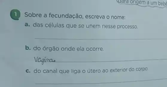 1 Sobre a fecundação , escreva o nome:
a. das células que se unem nesse processo.
b. do órgão onde ela ocorre.
__
c. do canal que liga o útero ao exterior do corpo.
__