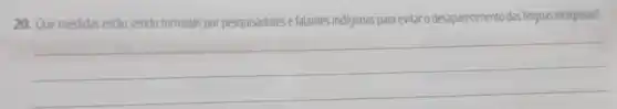 20. Que medidas estão sendo tomadas por pesquisadores e falantes indigenas para evitar o desaparecimento das linguas indigenas?
__