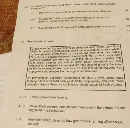 3.2
In cellular respiration glucose is broken down in a step-wise process to release
energy as ATP.
3.2.1
Describe what happens to the glucose molecule during glycolysis
3.2.2
Tabulate TWO differences between the products of aerobic and
anaerobic cellular respiration in animals cells
3.2.3
Draw and label the cell organelle in which cellular respiration occurs
3.3 Read the extract below.
Greenhouse farming also known as controlled environment agriculture
(CEA) is a methoc I of cultivating crops in an enclosed structure in which
growing environment is created and maintained for crops
Greenhouses provide controlled environment that protect crops from
extreme weather conditions by regulating temperature ,humidity and
light levels Farmers are able to grow crops throughout the year
irrespective of external climate and are also able to provide the ideal
conditions required for each specific crop. This level of control enhances
crop growth and reduces the risk of pest and diseases.
By providing an optimized environment for plant growth ,greenhouse
farming offers increased crop yield, better crop quality and year round
cultivation. Hence there is a continuous reliable supply of fresh produce.
3.3.1 Define greenhouse farming.
3.3.2
Name TWO environmental factors mentioned in the extract that are
regulated in greenhouses.
3.3.3 From the extract, describe how greenhouse farming affects food
security.
(4)
(5)