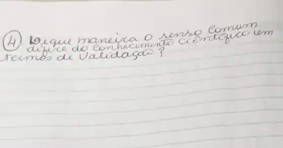 (4) Leque maneira o senso comum termos de Validaçao?