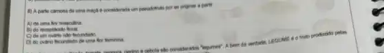 8) A parte camosa de uma maca 6 considerada um pseudofrito por se originar a partir
A) de uma flor masculina
B) do recepticulo floral.
C) de um ovàrio nào fecundado
pening ecebola são considerados "legumes". A bem da verdade LEGUME 6 0 fruto produzido pelas
D) do ovàro fecundado de uma flor feminina.