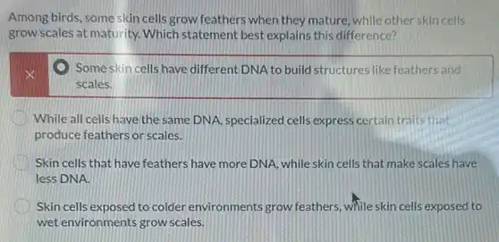 Among birds, some skin cells grow feathers when they mature, while other skin cells
grow scales at maturity Which statement best explains this difference?
D Some skin cells have different DNA to build structures like feathers and
scales.
While all cells have the same DNA, specialized cells express certain traits that
produce feathers or scales.
Skin cells that have feathers have more DNA ,while skin cells that make scales have
less DNA.
Skin cells exposed to colder environments grow feathers, while skin cells exposed to
wet environments grow scales.