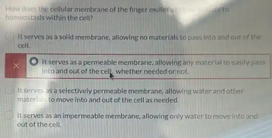 How does the cellular membrane of the finger mullet's cell contructeto
homeostasis within the cell?
It serves as a solid membrane, allowing no materials to pass into and out of the
cell.
It serves as a permeable membrane allowing any material to easily pass
into and out of the cell, whether needed or not.
D It serves as a selectively permeable membrane , allowing water and other
materials to move into and out of the cell as needed.
D It serves as an impermeable membrane allowing only water to move into and
out of the cell.