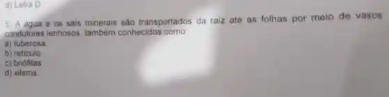 d) Letra D
5. A água e os sais minerais são transportados da raiz até as folhas por meio de vasos
condutores lenhosos também conhecidos como:
a) tuberosa
b) reticulo.
c) briófitas.
d) xilema.