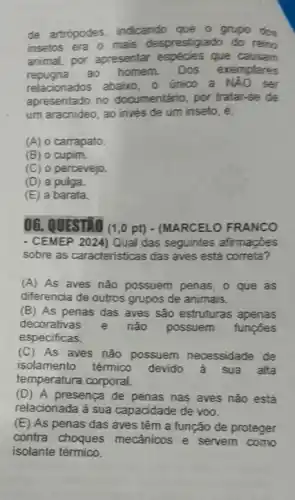 de artrópodes, indicando que o grupo don
insetos era o mais desprestigiado do reino
animal, por apresentar espécies que causam
repugna ao homem. Dos exemplares
relacionados abaixo, o único a NAO ser
apresentado no documentário, por tratar-se de
um aracnideo, ao invés de um inseto, é:
(A) o carrapato.
(B) o cupim.
(C) o percevejo.
(D) a pulga.
(E) a barata.
06. QUESTIO (1,0 pt) - (MARCELO FRANCO
- CEMEP 2024) Qual das seguintes afirmações
sobre as caracteristicas das aves está correta?
(A) As aves não possuem penas, o que as
diferencia de outros grupos de animais.
(B) As penas das aves são estruturas apenas
decorativas e nào possuem funcoes
especificas.
(C) As aves nǎo possuem necessidade de
isolamento térmico devido à sua alta
temperatura corporal.
(D) A presença de penas nas aves não está
relacionada à sua capacidade de voo.
(E) As penas das aves têm a função de proteger
contra choques mecânicos e servem como
isolante térmico.