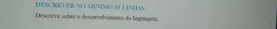 DESCREVER NO MÍNIMO 10 LINHAS.
Descreva sobre o desenvolvimento da linguagem.