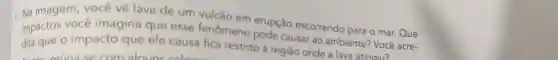 impactos causar ao ambiente Você acre-
1 impactos você imagina que esse fenômeno erupção escorrendo para o mar. Que
dita que o impacto que ele causa fica restrito à região onde a lava atingiu?