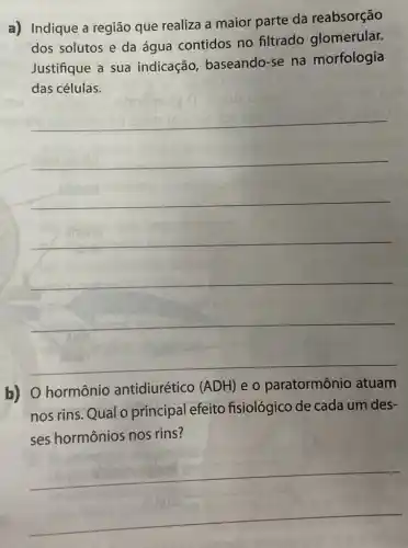 a) Indique a região que realiza a maior parte da reabsorção
dos solutos e da água contidos no filtrado glomerular.
Justifique a sua indicação baseando-se na morfologia
das células.
__
b) O hormônio
nos rins.Qual o principal efeito fisiológico de cada um des-
ses hormônios nos rins?
__