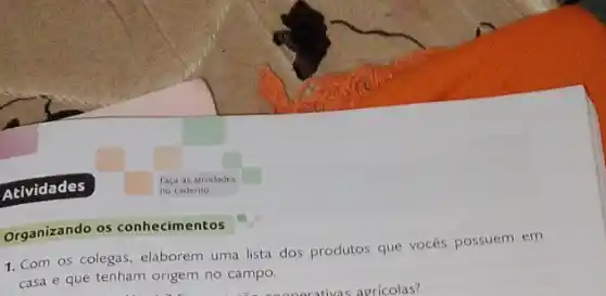 Organizando os conhecimentos
1. Com os colegas, elaborem uma lista dos produtos que vocês possuem em
casa e que tenham origem no campo.