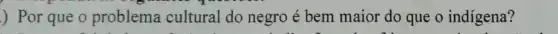 ) Por que o problema cultural do negro é bem maior do que o indigena?