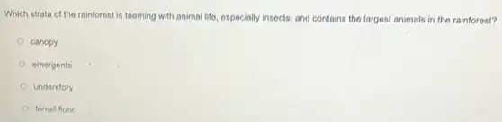 Which strata of the rainforest is tooming with animal life, ospecially insects and contains the largest animals in the rainforest?
canopy
emergents
understory
forest floor