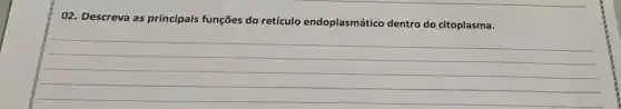 02. Descreva as principais funções do retículo endoplasmático dentro do citoplasma.
__