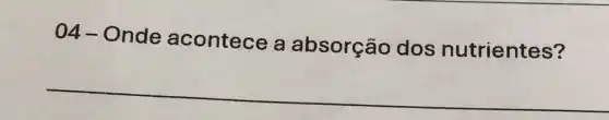 04- Onde acontece a absorção dos nutrientes?
__