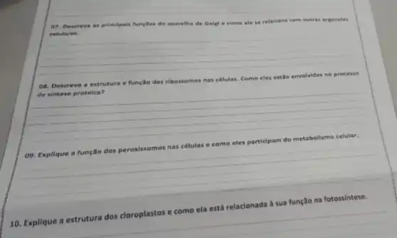 __
07. Descreva as principals funçōes do aparelho de Golgl e como ele se relaciona com outras organelas
__
08. Descreva a estrutura e função dos ribossomos nas células. Como eles estão envolvidos no processo
__
de sintese protelca?
__
__