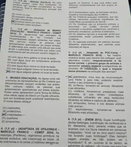 -1. (1,0 ESCOLA). No reino animal existem (BRASIL
poriferos são aqueles considerados os mais
poriferos? Qual a característica principal dos
(A) vivem no mar:
(B) possuem células urticantes;
(C) são comestiveis.
possuem poros por todo o corpo;
(E) possuem corpo achatado.
2. (1,0 pt)
(Adaptada de MUNDO
EDUCAGAO MARCEL O FRANCO - CEMEP
representantes
do filo Cnidaria que
2018)As águas-vivas são exemplos de
São
comuns relatos
de pessoas que
frequentemente causam acidentes nas praias.
apresentaram queimaduras por esses animais.
A mostra uma atitude que pode
aliviar o sofrimento do banhista que sofreu uma
queimadura até ele procurar socorro médico é:
(A) usar água doce gelada no local da lesão.
(B) usar água doce em temperatura ambiente
no local da lesão.
(C) usar água doce morna no local da lesão.
(D) usar água salgada morna no local da lesão.
D. usar água salgada gelada no local da lesão.
3. (MUNDO EDUCAçÃO). AS águas-vivas são
exemplos de representantes do filo Cnidaria que
frequentemente causam acidentes nas praias.
São comuns relatos de pessoas que
apresentaram queimaduras por esses animais.
Esses seres apresentam como forma de defesa
uma célula capaz de liberar um líquido urticante,
que em humanos pode ocasionar queimaduras.
nome dessa célula é:
(A) coanócitos.
(B) amebócitos.
cnidoblastos.-
(D) quelícera.
(E) pinacócitos.
4. (1,(ADAPTADA DE UFSJ/2002-E -
MARCELO FRANCO - CEMEP 2024 ) As
esponjas (Poríferos), organismos primitivos na
escala evolutiva, são insensiveis ao toque. Já
as anêmonas e os corais (Cnidários ) retraem-se
quando os tocamos. A que você atribui esta
diferença comportam ental nos dois grupos de
animais?
(A) O exoesqueleto rigido, de formação calcária,
impede a movimentação dos Poríferos.
-(B) Os Cnidários possuem cnidócitos , que são
células sensoriais primitivas espalhadas de
modo difuso na epiderme do animal.
(C) Os Cnidários são os primeiros animais a
possuirem um cordão nervoso central
conectado a neurônios epidérmicos , sensiveis a
estímulos mecânicos e luminosos.
-(D) Os sistemas nervoso e muscular , ainda que
rudimentares estão presentes somente nos
Cnidários.
(E) As esponjas um sistema nervoso
altamente especializado, que controla suas
respostas ao toque.
5. (1,0 pt)- (Adaptada de PUC-Camp
MARCELO FRANCO 2018)- Na história
evolutiva aceita pela maioria dos zoólogos, qual
alternativa mostra , respectivamente e de
forma correta, o primeiro grupo de animais a
apresentar simetria bilateral acompanhada de
processo de cefalização e qual o impacto
desse processo na evolução dos animais?
platelmintos; tinha eixo de movimentação
para frente e para trás podendo explorar
melhor o seu ambiente e caçar.
(B) poríferos;tornaram-se animais filtradores
mais eficientes.
(C) cnidários ; tornaram-se predadores mais
eficientes que tinham cnidoblastos,
substâncias urticantes em seus tentáculos
eficientes na defesa e captura de alimento..
(D) artrópodes tornou o voo desses animais
mais preciso.
(E) ) equinodermos; tornaram-se animais
filtradores mais eficientes.
6. (1,0 pt)- (ENEM 2013). Dupla humilhação
destas lombrigas , humilhação de confessá-las a
Dr. Alexandre , sério, perante irmãos que se
divertem com tua fauna intestinal em perversas
indagações "Você vai ao circo assim mesmo?
Vai levando suas lombrigas?Elas também
pagam entrada,se não podem ver o
espetáculo? E se, ouvindo lá de dentro,as
gabarolas do palhaco. vão querer sair nara fora