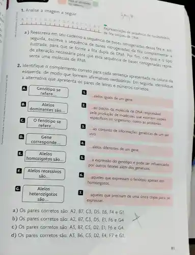 1. Analise a imagem a. seguir.
GCCC
Representarzo de sequencia de nucleotideos de fita simples de DNA
a) Reescreva em seu caderno a sequencia de bases nitrogenadas dessa fita e, em
seguida escreva a sequência de bases nitrogenadas da fita complementar a
ilustrada , para que se forme a fita dupla de DNA. Por firn,cite
de alteração necessária para que essa sequencia de bases nitrogenadas repre- sente uma molécula de RNA
2. Identifique o complemento correto para cada sentenca apresentada na coluna da
esquerda ,de modo que formem afirmativas verdadeiras . Em seguida identifique
a alternativa que apresenta os pares de letras e números corretos.
A. Genótipo se
refere __
Alelos
dominantes são __
C. o Fenótipo se
refere __
D.	Gene
corresponde __
E.	Alelos
homozigotos são.
F. Alelos recessivos
são __
6.	Alelos
heterozigotos
são __
1.
square  ...alelos iguais de um gene.
pela produção de moléculas que exercem papéis
especificos no organismo como as proteinas.
...ao conjunto de informaçōes genéticas de um ser vivo.
...alelos diferentes de um gene.
... expressão do genótipo e pode ser influenciado
por outros fatores além dos genéticos.
...aqueles que expressam o fenótipo apenas em
homozigotos.
7.
...aqueles que precisam de uma única cópia para se
expressar.
a) Os pares corretos são: A2 , B7, C3 , D5,E6 , F4 e G1.
b) Os pares corretos são: A2 , B7, C3 , D5,E1,F6 e G4
c) Os pares corretos são: A3 , B7, C5 , D2,E1, F6 e G4.
d) Os pares corretos são: A3 . B6, C5 , D2,E4 F7 e G1.