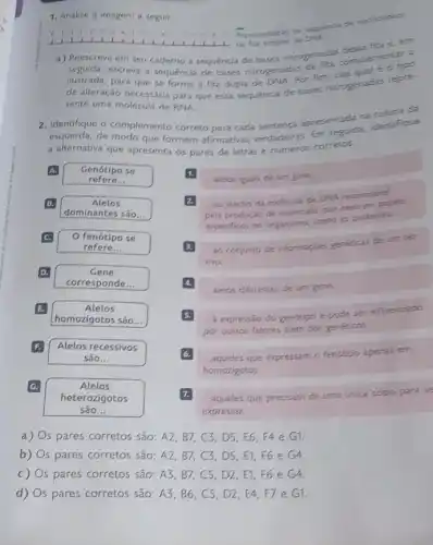 1. Analise a imagem a seguir.
Pepresentario de sequirica de nuclectideas
de fita simples de Diek.
__
a) Reescreva em seu caderno a sequência de bases nitrogenadas complementation
seguida, escreva a sequência de bases nitrogenadas or fim
ilustrada, para que se forme a fita dupla de DNA. Por
de alteração necessária para que essa sequencia de bases nitrogenadas repre
sente uma molécula de RNA.
2. Identifique o complemento correto para cada sentença apresentada na
esquerda, de modo que formem afirmativas verdadeiras Em seguida, identifique
a alternativa que apresenta os pares de letras e numeros corretos.
A. Genótipo se
refere __
B.	Alelos
dominantes são __
C. O fenótipo se
refere __
D.	Gene
corresponde __
E.	Alelos
homozigotos são __
F. Alelos recessivos
são __
G.	Alelos
heterozigotos
são __
1.
alelos iquais de um gene.
2. ao trecho da molécula de DNA responsivel
pela produção de moléculas que exercem papels
especificos no organismo, como as proteinas.
ao conjunto de informaçbes genéticas de um ser
vivo.
4.
alelos diferentes de um gene.
5. a expressão do genótipo e pode ser influenciado
por outros fatores além dos genéticos.
6. aqueles que expressam o fenótipo apenas em
homozigotos.
7. ...aqueles que precisam de uma única copia para se
expressar.
a) Os pares corretos são: A2, B7, C3 DS,E6,F4 e G1.
b) Os pares corretos são: A2, B7, C3 , D5, E1, F6 e G4
s pares corretos,sáC.A3,BT,C5,DL,EL,F6 C.GA
d) s pares corretos são: A3 B6,C5,D2 E4,F7 e G1.