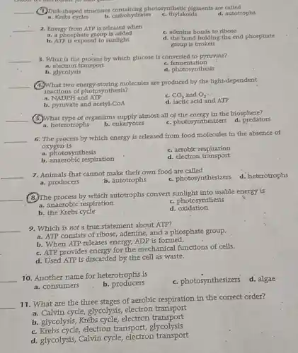__
(1) Disk-shaped structures photosynthetic plgments are called
d. autotrophs
a. Krebs cycles
b. carbohydrates
c. thylakoids
__ 2. Energy from ATP is released when
a. a phosphate group is added
d. the bond holding the end phosphate
group is broken
b. ATP is exposed to sunlight
__ 3. What is the process by which glucose is converted to pyruvate?
:
a. electron transport
c. fermentation
b. glycolysis
d. photosynthesis
__
(4)What two energy storing molecules are produced by the light dependent
reactions of photosynthesis?
a. NADPH and ATP
c. CO_(2) and O_(2)
b. pyruvate and acetyl-CoA
d. lactic acid and ATP
__
(5.)What type of organisms supply almost all of the energy in the biosphere?
d. predators
a. heterotrophs
b. eukaryotes
c. photosynthesizers
__
6. The process by which energy is released from food molecules in the absence of
oxygen is
a. photosynthesis
c. aerobic respiration
b. anaerobic respiration
d. electron transport
__
7. Animals that cannot make their own food are called
d. heterotrophs
a. producers
b. autotrophs
c. photosynthesizers
__
8. The process by which autotrophs convert into usable energy is
a. anaerobic respiration
c. photosynthesis
b. the Krebs cycle
d oxidation
__
9. Which is not a true statement about ATP?
a. ATP consists of ribose, adenine, and a phosphate group.
b. When ATP releases energy, ADP is formed.
c. ATP provides energy for the mechanical functions of cells.
d. Used ATP is discarded by the cell as waste.
__
70. Another name for heterotrophs is
c. photosynthesizer:d. algae
a. consumers
b. producers
__
11. What are the three stages of aerobic respiration in the correct order?
a. Calvin cycle glycolysis, electron transport
b. glycolysis, Krebs cycle, electron transport
c electron transport , glycolysis
d. glycolysis, Calvin cycle, electron transport