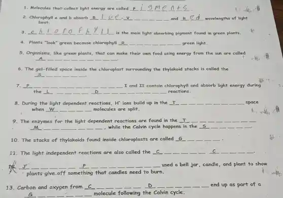 1. Molecules that-collect light energy are called
2. Chlorophyll a and b absorb __ u	__ __ __	and	wavelengths of light
best.
3. __ __ __ __ __ __ __ __ __ __ is the main light absorbing pigment found in green plants.
4. Plants "look" green because chlorophyll __ __ __ __ __ __ __ __ green light.
5. Organisms, like green plants,that can make their own food using energy from the sun are called
__ __ __ __ __ __ __ __ __ __
6. The gel-filled space inside the chloroplast surrounding the thylakoid stacks is called the
__ __ __ __ __ __
7. p __ __ __ __ __ __ __ __ __ __ __ I and II contain chlorophyll and absorb light energy during
the __ __ __ __ __ __ __ __ __ __ __ __ __ reactions.
8. During the light dependent reactions, H^+ ions build up in the __ __ __ __ __ __ __ __ __ space
when __ __ __ __ __ molecules are split.
9. The enzymes for the light dependent reactions are found in the T
__ __ __ __ __ __ __ . while the Calvin cycle happens in the S __
10. The stacks of thylakoids found inside chloroplasts are called G __ __ __ __
11.The light independent reactions are also called the __ __ __ __ __ C __ __ __ __
burn.
J!
plants give off something that
candles need to burn
__ __ __ __ __ __ __ __ __ __ __ __ __ __ used a bell jar , candle, and plant to show
13.Carbon and oxygen from C __ __ __ __ __
the C Calvin arbe
__ __ __ __ __ __ molecule following
__ __ __	end up as part of a