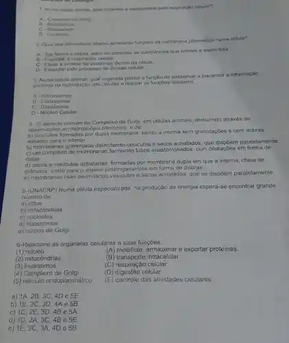 1. Numa celula animal qual organela é responsavel pela respiração celular?
A- Complexo de Golgi
B-Mitocondria
C - Ribossomo
D - Centriolo
2. Qual das altemativas abaixo apresenta funçōes da membrana plasmática numa célula?
A- Dar forma a célula, alem do controlar as substâncias que entram o saem dela.
B - Executar a respiraçáo celular.
C-Fazer a sintese de proteinas dentro da célula
D-Executar todo processo de divisão celular.
3. Numa célula animal qual organela possui a função de conservar e transmitir a informação
genética na reprodução das células e regular as funções celulares.
A-Ribossomos
B - Lisossomos
C - Citoplasma
D - Núcleo Celular
4. aspecto comum do Complexo de Golgi, em células animais deduzindo através de
observaçōes ao microscópio eletrônico, é de:
a) vesiculas formadas por dupla membrana, sendo a interna sem granulações e com dobras
voltadas para o interior,
b) membranas granulosas delimitand vesículas e sacos achatados, que dispõem paralelamente;
c) um complexo de membranas formando tubos anastomosados , com dilatações em forma de
disco;
d) sacos e vesículas achatadas, formadas por membrana dupla em que a interna, cheia de
grânulos, emite para o interior prolongamentos em forma de dobras;
e) membranas lisas delimitando vesiculas e sacos achatados, que se dispôem paralelamente.
5-(UNAERP) Numa célula especializada na produção de energia espera-se encontrar grande
número de:
a)cilios
b) mitocôndrias
c) nucléolos
d) ribossomos
e) corpos de Golgi
6-Relacione as organelas celulares e suas funções:
(1) núcleo
(A) modificar armazenar e exportar proteínas.
(2) mitocôndrias
(B)intracelular
(3) lisossomos
(C) respiração celular
(4) Complexo de Golgi
(D) digestão celular
(5) reticulo endoplasmático
(E) controle das atividades celulares
a) 1A . 2B. 3C, 4D e 5E
b) 1E . 2C. 3D 4A e 5B
c) 1C , 2E. 3D 4B e 5 A
d) 1D , 2A, 3C, 4 B e 5E
e) 1E , 2C, 3A 4D e 5 B