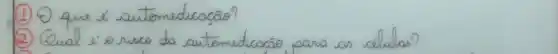 (1) O que é automedicacão?
(2) Qual s'o risco da cutemedicacão para as cellulas?