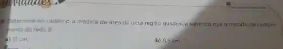 1 petermine no caderno a medida de área
de uma região quadrada sabendo que a medida de compri-
mento do lado e
a) 17 cm;
b) 8,5 cm.