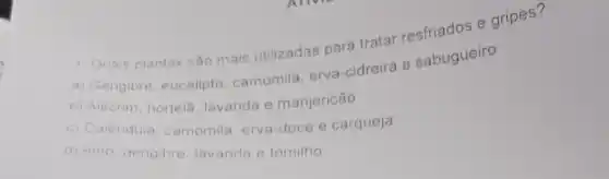 1 Quais plantas são mais utilizadas para tratar
a) Gengibre eucalipto camomila, erva -cidreira e sabugueiro
b) Alecrim, hortela lavanda e manjericão
c) Calêndula camomila, erva -doce e carqueja
d) Aiho, gengibre lavanda e tomilho