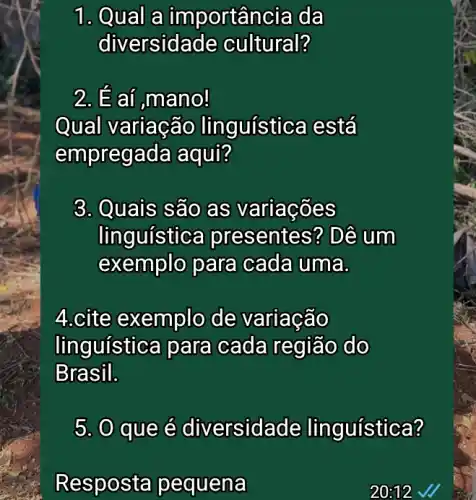 1. Qual a importância da
diversida de cultural?
2. É aí ,mano!
Qual variação linguística está
empregada aqui?
3. Quais são as variaçōes
linguística presentes? Dê u m
exemplo para cada uma.
4.cite exemplo de variação
linguística para cada região do
Brasil.
5. 0 que é diversida de linguística?
Respo sta pequena