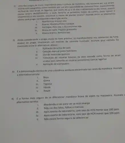 1) Uma das pragas de maior importância para a cultura da mandioca, não somente por sua ampla
distribuição geográfica, com também por sua alta capacidade de consumo foliar especialmente
no final do ciclo larval. As lagartas, que vivem de 12 a 15 dias e alimentam-se das folhas
causar severo desfolhament , o qual, durante os primeiros meses de cultivo pode reduzir o
rendimento e até mesmo , ocasionar a morte de plantas jovens? Assinale entre as alternativas
abaixo qual praga corresponde a descrição acima.
1. Mandarová, Erinnys ello
11. Ácaros, Mononychellus tanajoa
III. Formigas, Atta spp. e Acromyrmex spp.
IV Broca do caule, Papista granicollis
v. Mosca branca, Bemisia spp
2)Ainda considerando a praga citada no item anterior os mandiocultores nos momentos de forte
ataque da praga inventaram um método de controle inusitado. Assinale qual método foi
inventado entre as alternativas abaixo:
1. Aplicação de urina de vaca
II. Catação manual pelos familiares
III. Uso de inseticida químico
IV.
Colocação de vísceras bovinas na área atacada como forma de atrair
urubus que comerǎo as visceras juntamente com as lagartas
v. Aplicação de manipueira
3) É a denominação técnica de uma substância amilácea encontrada nas raizes da mandioca. Assinale
a alternativa correta:
I. Beiju
II. Goma
III. Tapioca
IV. Fécula
v. Raspa
4) É a forma mais segura de se diferenciar mandioca brava de aipim ou macaxeira. Assinale
alternativa correta:
1. Mordendo a raiz para ver se está amarga
II.
Pela cor dos talos folhas e manivas
III.
Após exame de laboratório , com teor de HCN menor que 200 ppm
IV.
Após exame de laboratório com teor de HCN menor que 100 ppm
V.
Não existe forma segura de diferenciar.