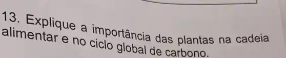 13. Explique a importância das plantas na cadeia
alimentar e no ciclo global de carbono.