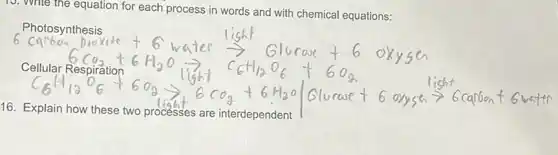 13. Write the equation for each process in words and with chemical equations:
Photosynthesis
menghapping disebut dan mengalami
16 are interdependent