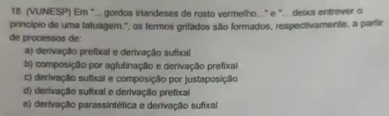 18. (VUNESP) Em __ gordos irlandeses de rosto vermelho __ "e".deixa entrever o
principio de uma tatuagem.", os termos grifados são formados , respectivamente, a partir
de processos de:
a) derivação prefixal e derivação sufixal
b) composição por aglutinação e derivação prefixal
c) derivação sufxal e composição por justaposição
d) derivação sufixal e derivação prefixal
e) derivação parassintética e derivação sufixal