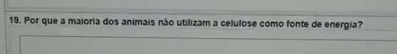 19. Por que a maioria dos animais não utilizam a celulose como fonte de energia?