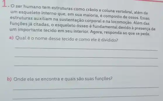 1.O ser humano tem estruturas como crânio e coluna vertebral , além de
um esqueleto interno que em sua maioria , é composto de ossos. Essas
estruturas auxiliam na sustentação corporal e na locomoção Além das
funções já citadas, o esqueleto ósseo é fundamental devido à presença de
um importante tecido em seu interior. Agora responda ao que se pede.
a) Qualéo nome desse tecido e como ele é dividido?
__
b) Onde ele se encontra e quais são suas funçōes?
__