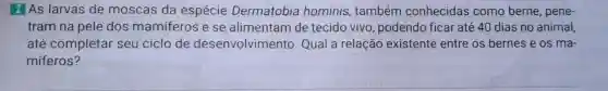 2 As larvas de moscas da espécie Dermatobia hominis, também conhecidas como berne, pene-
tram na pele dos mamiferos e se alimentam de tecido vivo podendo ficar até 40 dias no animal,
até completar seu ciclo de desenvolvimento Qual a relação existente entre os bernes e os ma-
míferos?