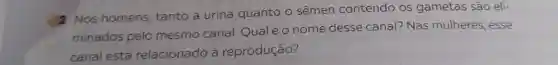 2 Nos homens tanto a urina quanto o sêmen contendo os gametas são eli-
minados pelo mesmo canal Qualéo nome desse canal? Nas mulheres, esse
canal está relacionado à reprodução?