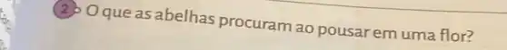 (2) Oque as abelhas procuram ao pousar em uma flor?