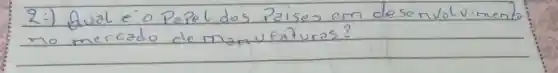 2:) Qual e o Papel dos Paises em desenvolvimento no mercado de manufaturas?