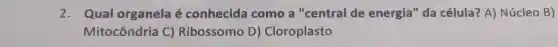 2. Qual organela é conhecida como a "central de energia" da célula? A) Núcleo B)
Mitocôndria C)Ribossomo D)Cloroplasto