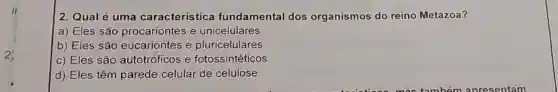 2. Qual é uma característica fundamental dos organismos do reino Metazoa?
a) Eles são procariontes e unicelulares
b) Eles são eucariontes e pluricelulares
c) Eles são autotróficos e fotossintéticos
d) Eles têm parede celular de celulose