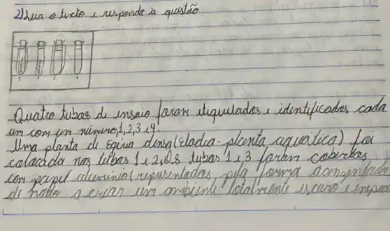 2) Seia o tucto e responda à questáo
Quatro tubas de ensaio foram iliquutados e identificados cada um con un vimeno, 1,2,3,4 .
Uma planta de Equia densa(clada-plenta cquatica) foi colacada nos tibos 1,2,0s tubos 1,3 foram cobritas