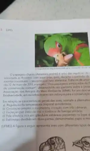 2. (UPE)
papagaio -charão (Amazona pretrel)e uma das especies dat
associada florestas com araucarias pois durante de
mentes constituem o seu principa I item alimentar Trata-se de uma
dia 22 de maio de 2017 e 'Dois papagaios ameacados dat
de conservação comum" desenvolvido em parceria entre a Unive
Associaçáo dos Amigos do Meio Ambiente (AM A), foi um dos ve
Biodiversidade,em reconhecimento aos esforcos para a conservação
Em relação caracteristicas gerais das aves , assinale alternativ
a)Regulação da temperature corporal ectotérmica.
b)simples o incompleta , coração com tres câmaras.
C)Excreção por meio de rins e ausencia de bexiga urinária.
d) Pele elástica rica em glandulas sebaceas presentes na based
e)Estômago dividido em duas partes denominadas papo e mo
(UFMG)A figura a seguir apresenta aves com diferentes tipos d