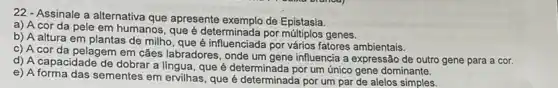 22 - Assinale a alternativa que apresente exemplo de Epistasia.
a) A cor da pele em humanos, que é determinada por multiplos genes.
b) A altura em plantas de milho, que é influenciada por vários fatores ambientais.
c) A cor da pelagem em cães labradores , onde um gene influencia a expressão de outro gene para a cor.
d) A capacidade de dobrar a língua, que é por um único gene dominante.
e) A forma das sementes em ervilhas, que é determinada por um par de alelos simples.