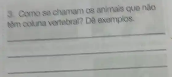 3. Comose o amam os animais Quê nào
têm colun a verteb rai? Dê exem plas.
__