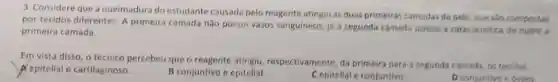 3. Considere que a queimadura do estudante causada pelo reagente atingiu as duas primeiras camadas da pele, quesso compostas
por tecidos diferentes. A primeira camada não possui vasos sanguineos, já a segunda carnada possul a caracteristica de nutrir a
primeira camada.
Em vista disso, o técnico percebeu que o reagente atinglu respectivamente, da primeira para a segunda camada os tecidos
A epitelial e cartilaginoso.	B conjuntivo e epitelial.	C epitelial e conjuntivo
D conjuntivo edssea