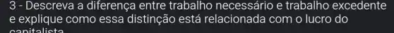 3 - Descreva a diferença entre trabalho e trabalho excedente
e explique como essa distinção está relacionada com o lucro do
canitalicta
